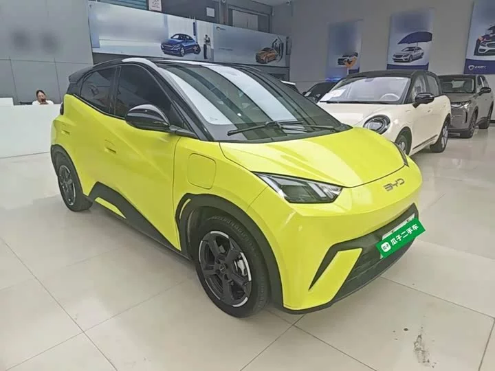 BYD seagull