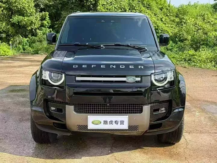 Land Rover guard