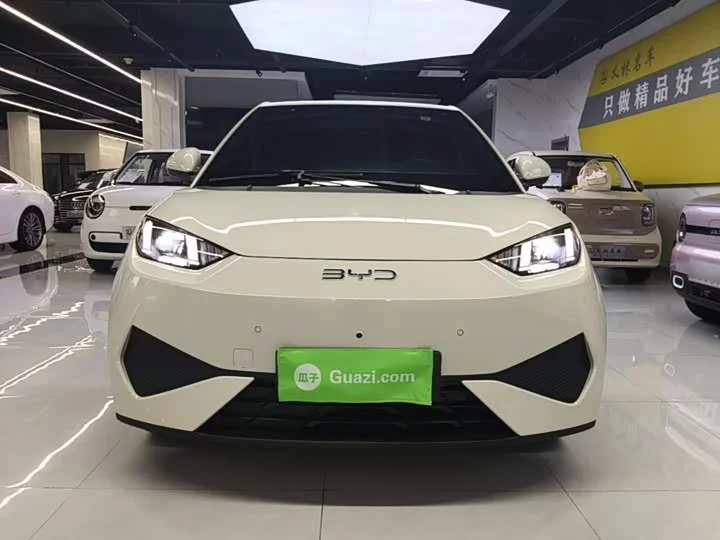 BYD seagull