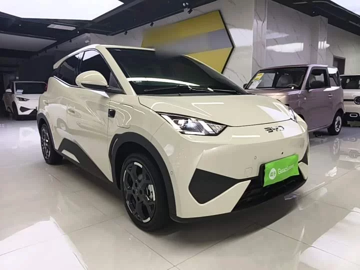 BYD seagull