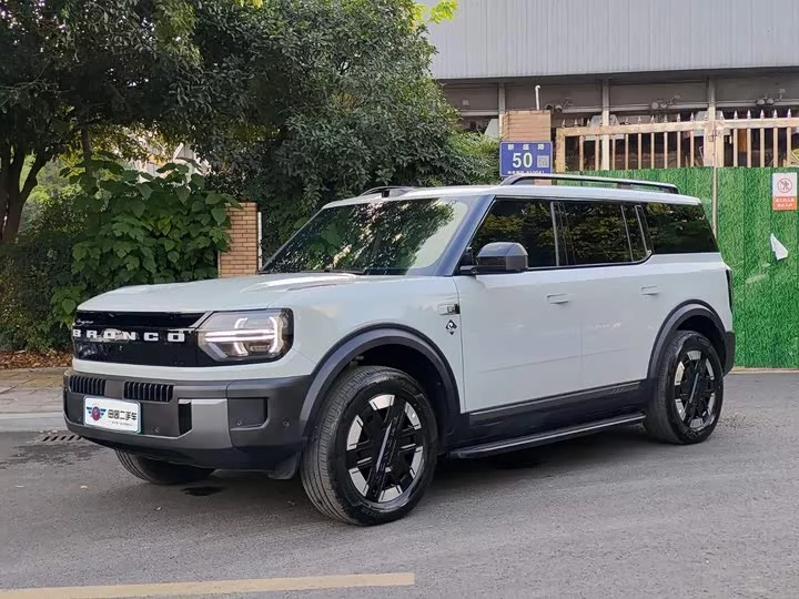 Ford Smart and Fun Horse