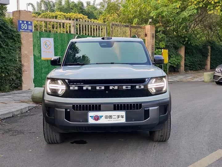 Ford Smart and Fun Horse