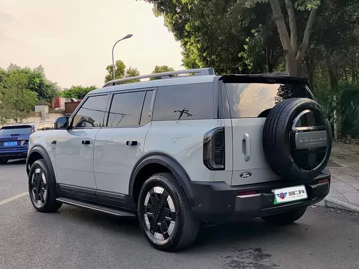 Ford Smart and Fun Horse