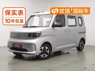 Wuling Zhiguang New Energy