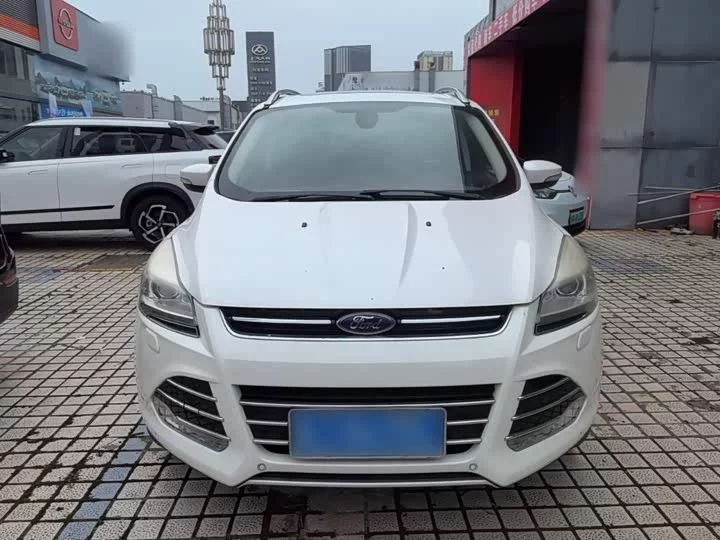 Ford wing tiger