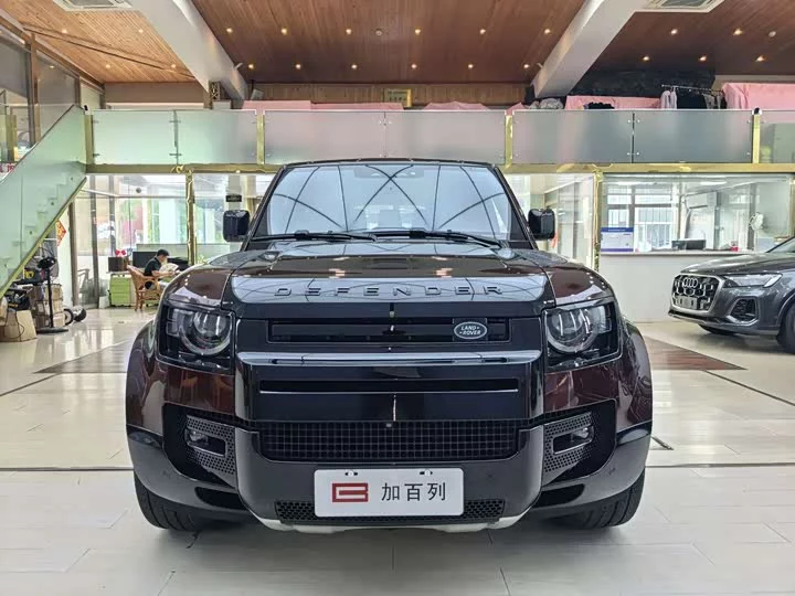 Land Rover guard