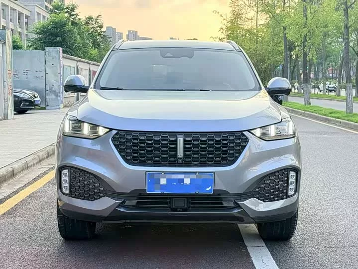 Wey VV6