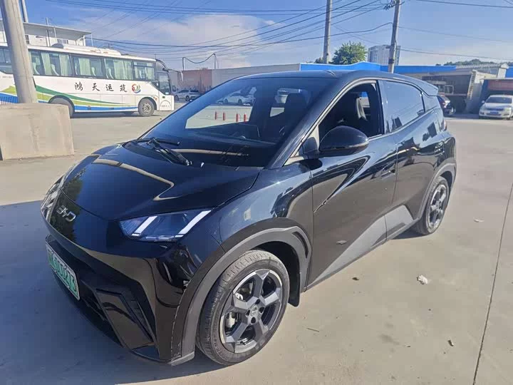 BYD seagull