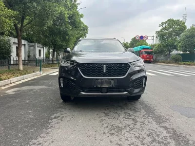 Wey VV6