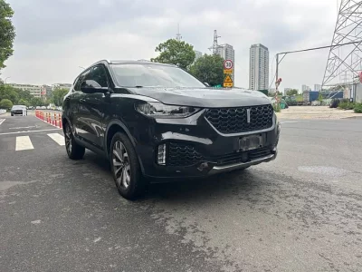 Wey VV6
