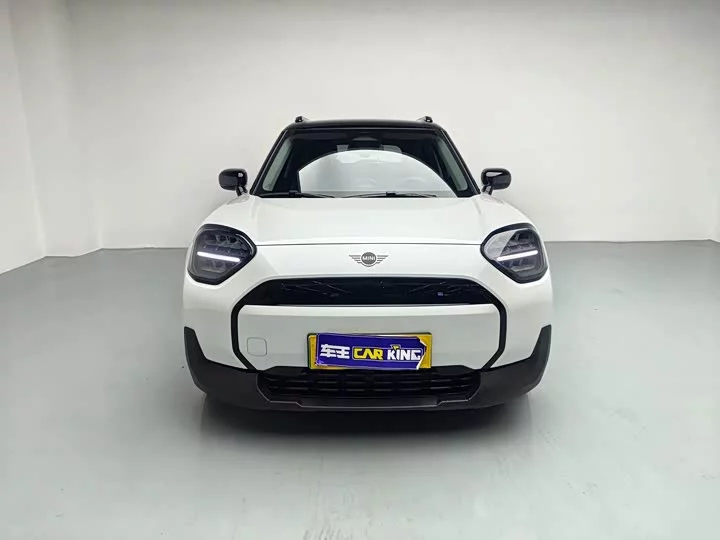 MINI ELECTRIC ACEMAN