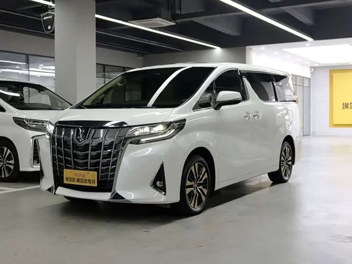 Toyota Elfa