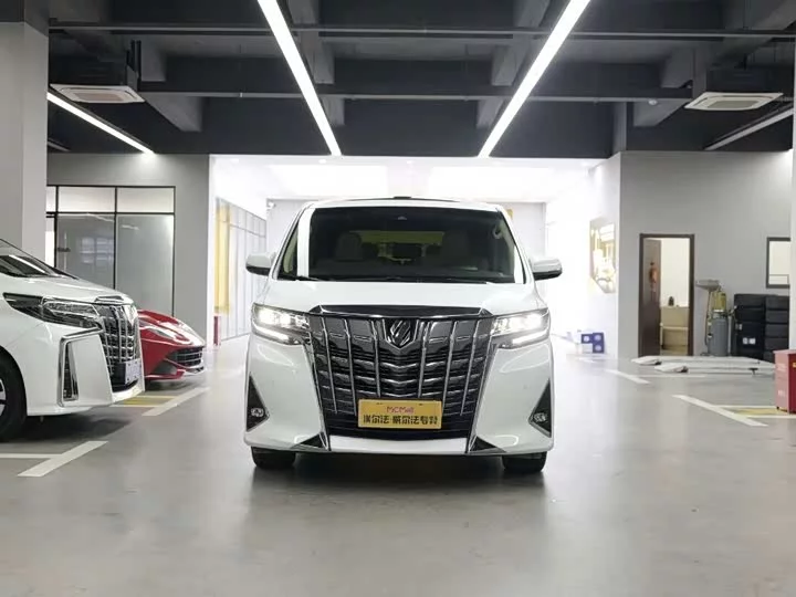 Toyota Elfa