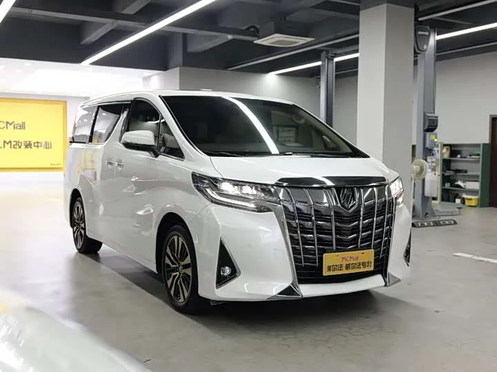 Toyota Elfa