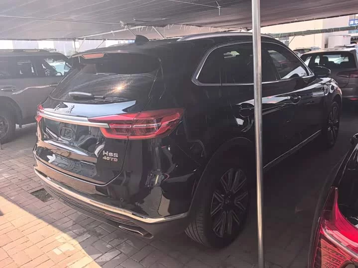 Hongqi HS5