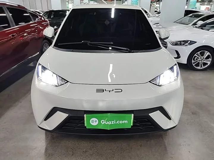 BYD seagull