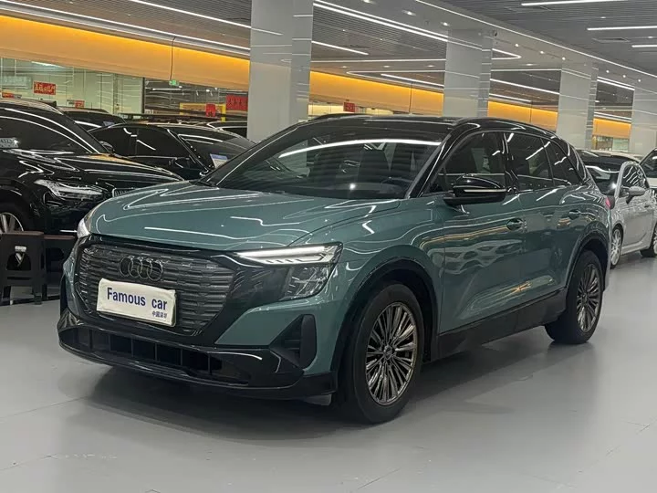 Audi Q5 e-tron