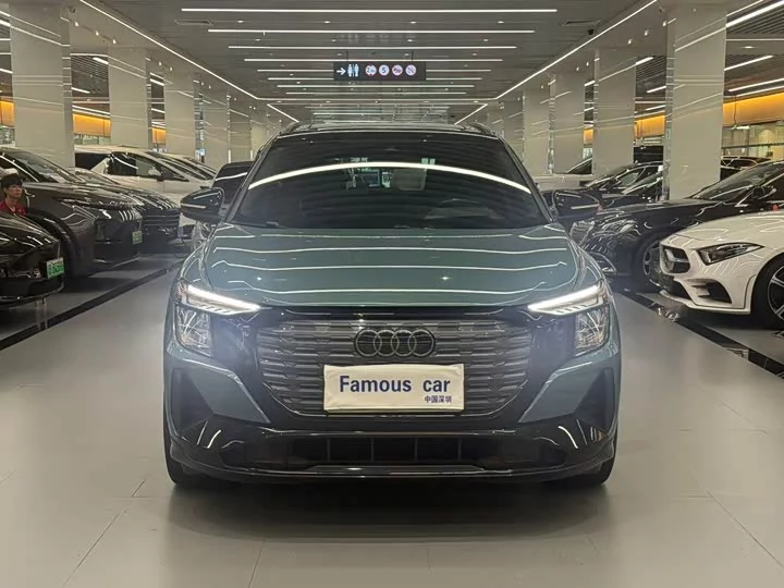 Audi Q5 e-tron