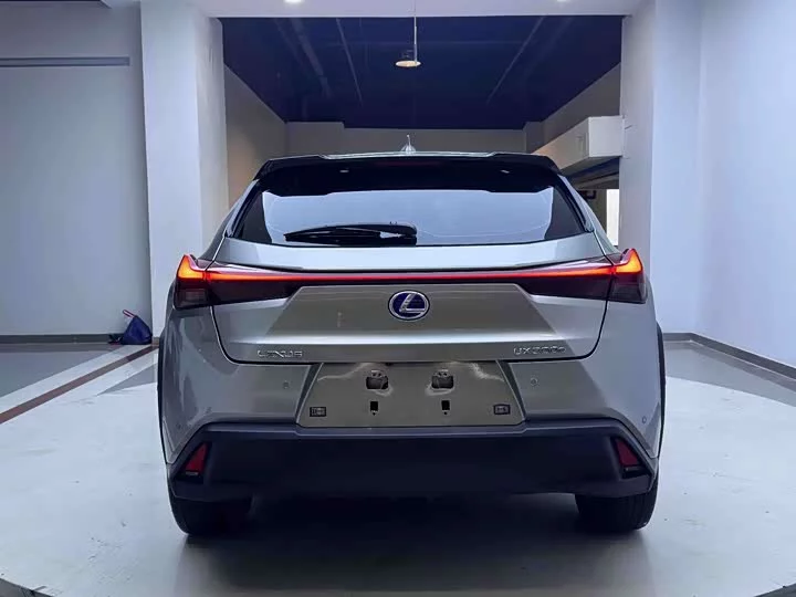 Lexus UX New Energy