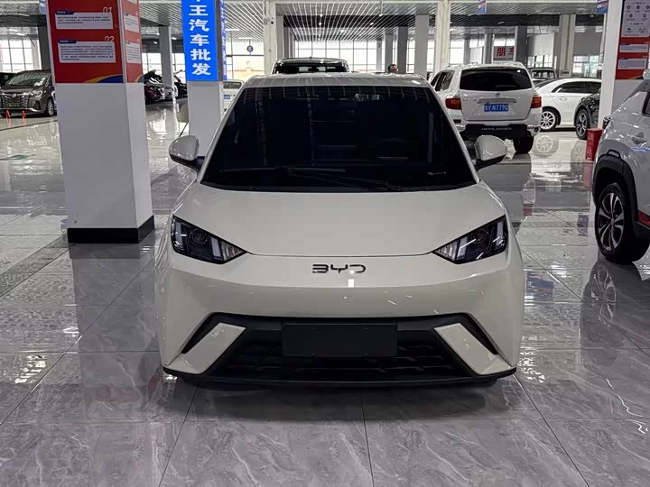 BYD seagull