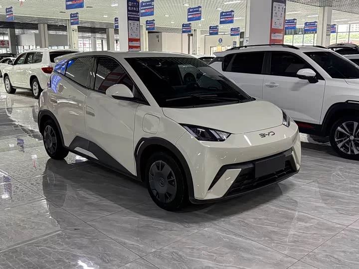 BYD seagull