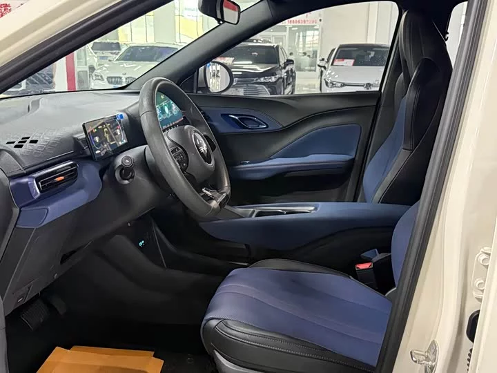 BYD seagull
