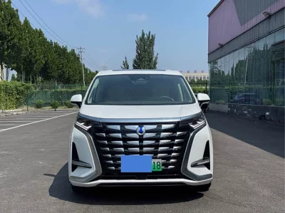 Denza D9