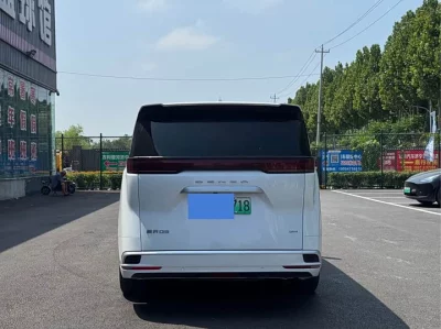 Denza D9