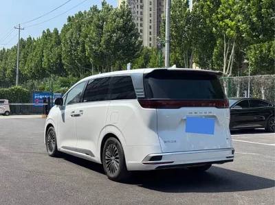 Denza D9