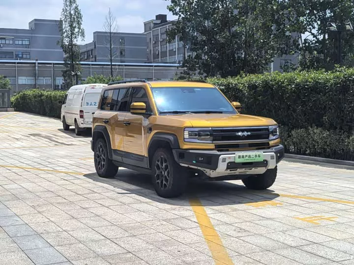 BYD Leopard Leopard 5