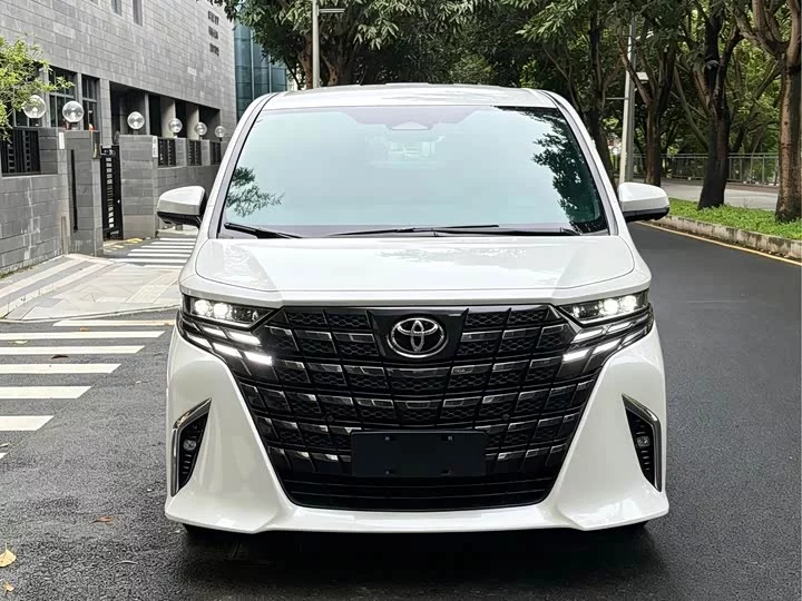 Toyota Elfa