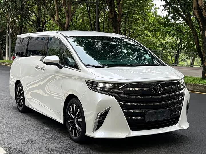Toyota Elfa