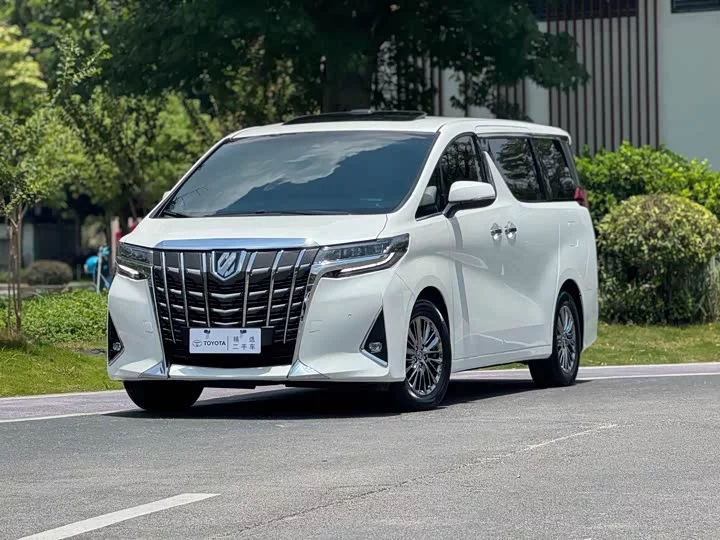 Toyota Elfa
