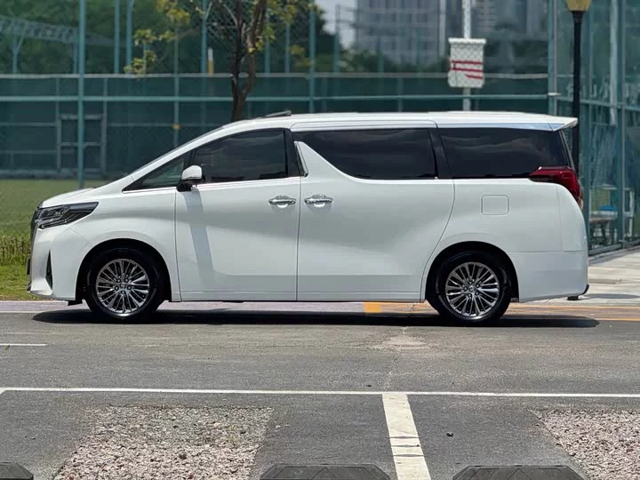 Toyota Elfa
