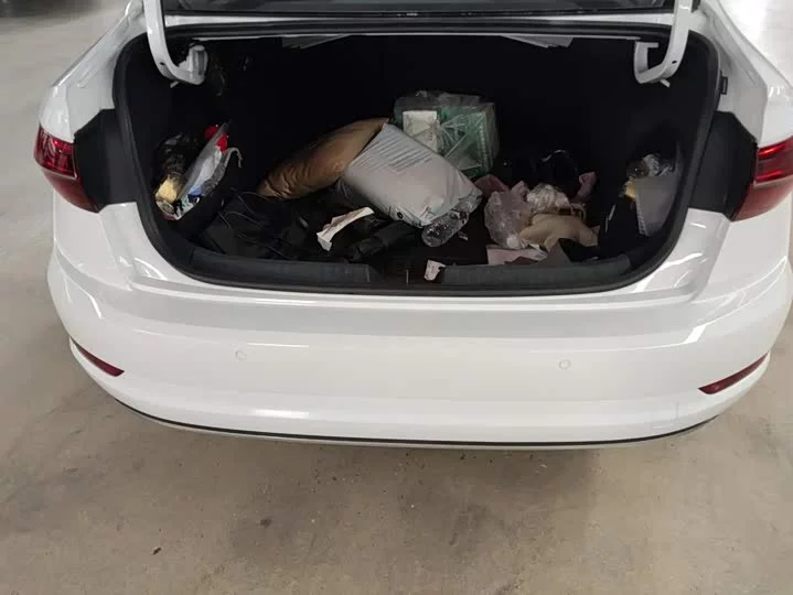 Volkswagen Sagitar