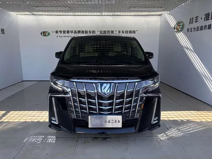 Toyota Elfa