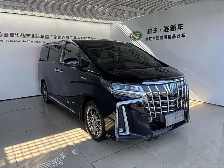 Toyota Elfa