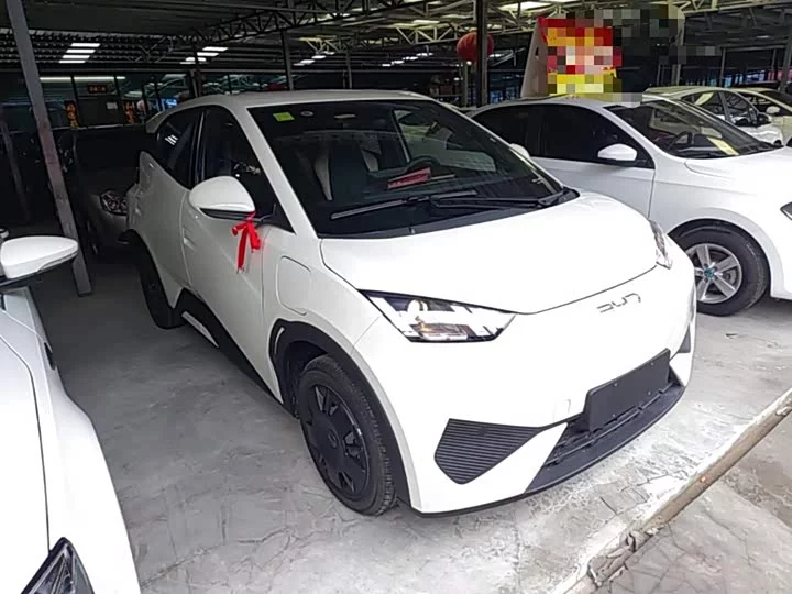 BYD seagull