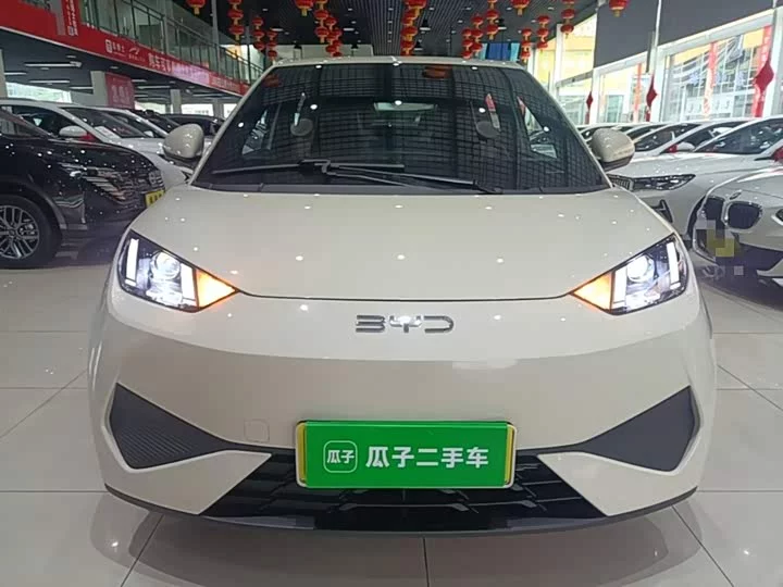 BYD seagull