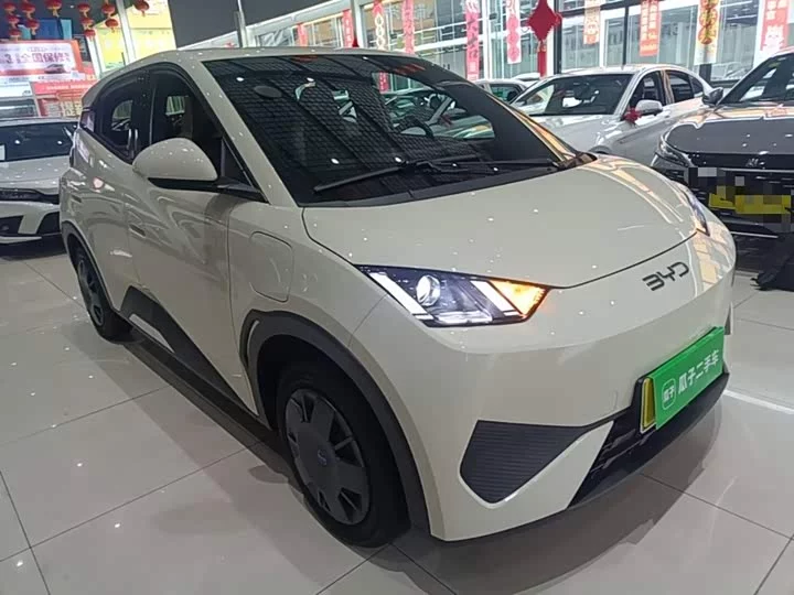 BYD seagull