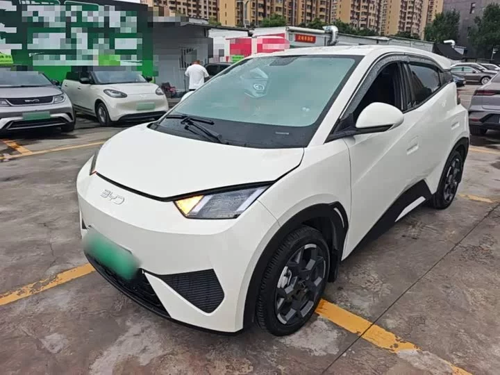 BYD seagull