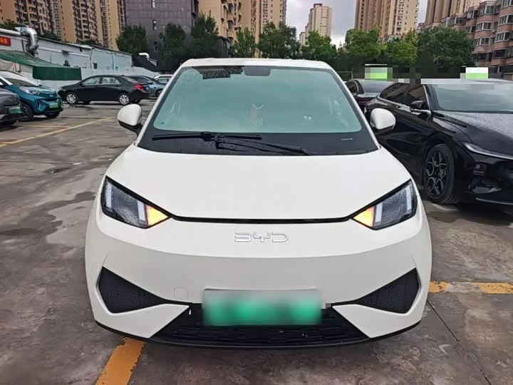 BYD seagull