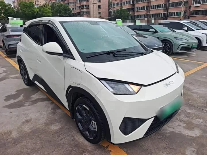 BYD seagull
