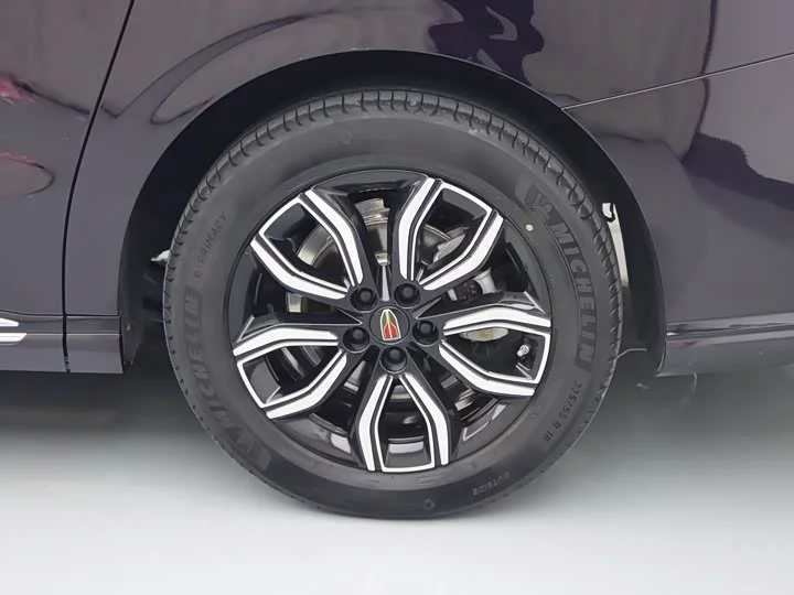Hongqi HQ9