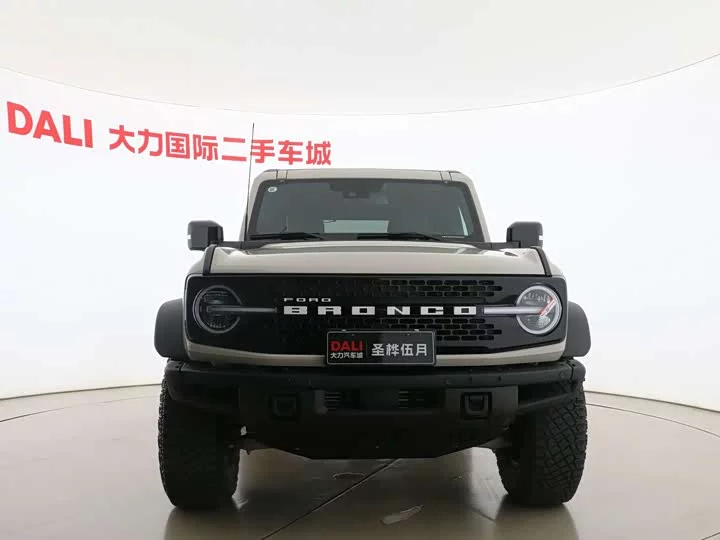 Ford Wild Horse