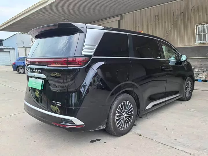 Denza D9
