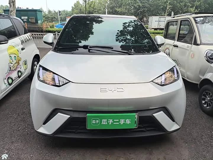 BYD seagull