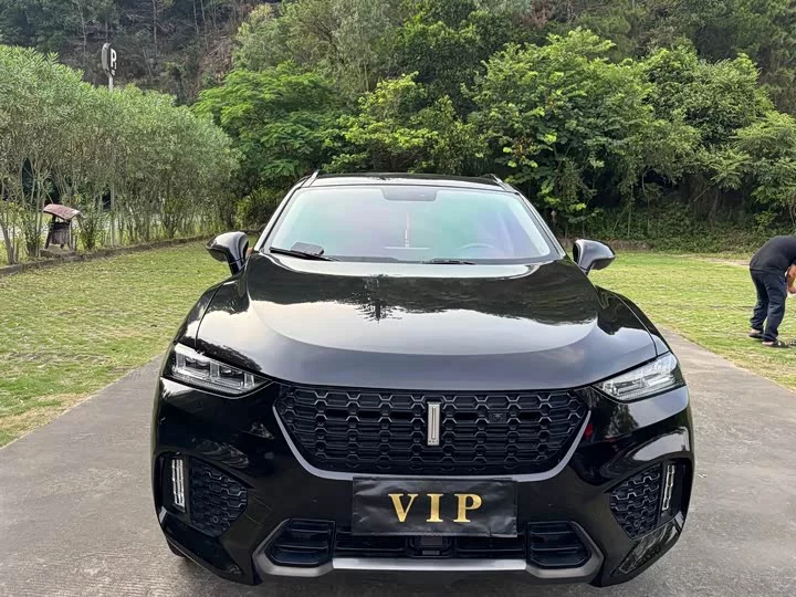 Wey VV7