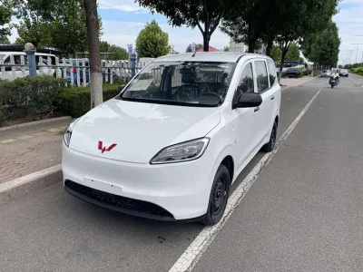 Wuling Hongguang New Energy