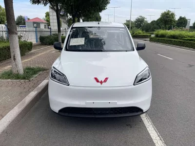 Wuling Hongguang New Energy